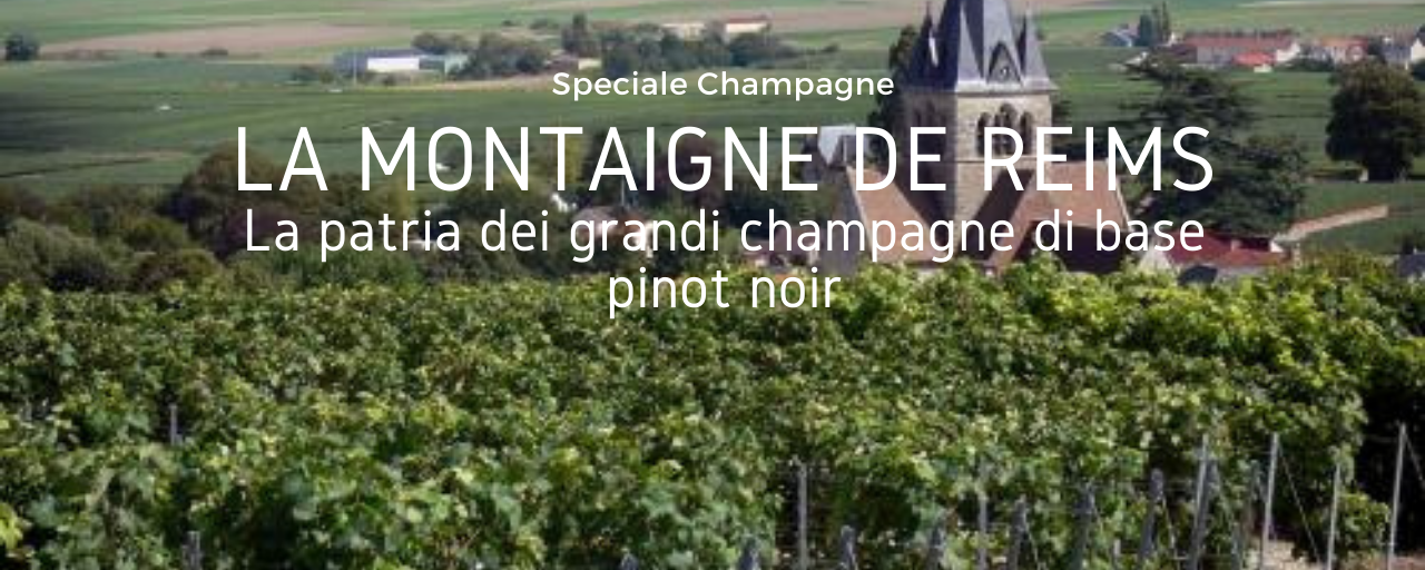 Le zone dello Champagne – La Montaigne De Reims