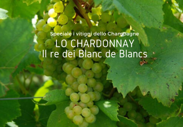 La Chardonnay Cover